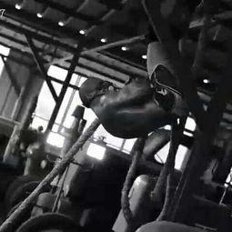 练武圈 视频,揭秘武术世界里的传奇故事与精彩瞬间