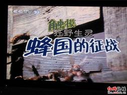 中央十台在线观看,精彩内容一网打尽